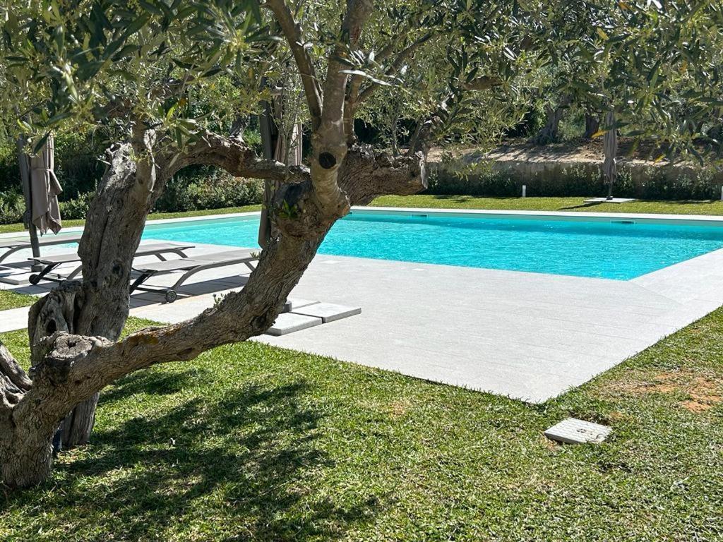 Bed and Breakfast Civetta Blu Кастелламмаре-дель-Гольфо Екстер'єр фото